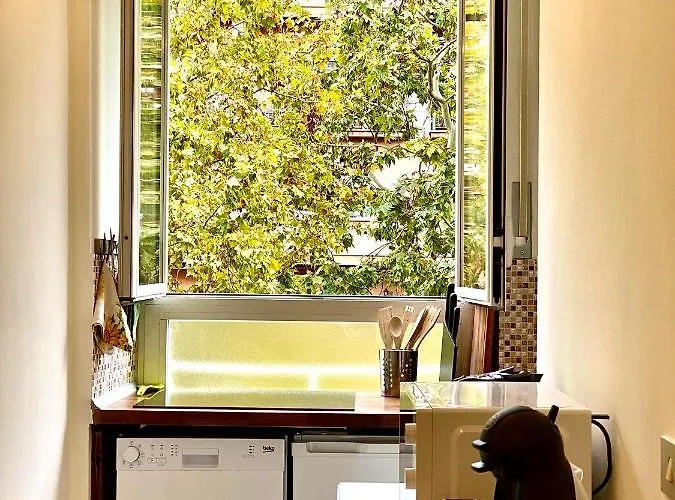 Domus Delphi רומא