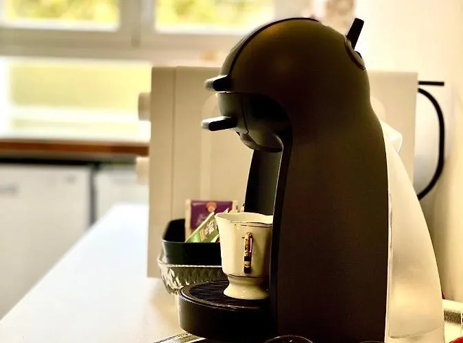 Domus Delphi דירה רומא